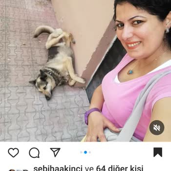 Kocaeli Valiliği Paşa Köpeğimizi Geri İstiyoruz