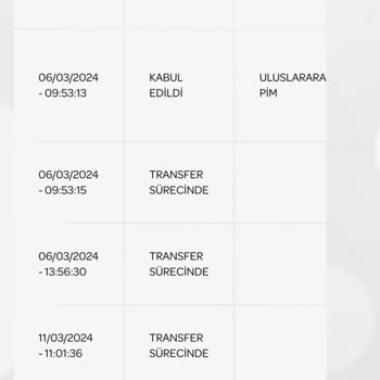 SHEIN Kargo Gümrük Problemi