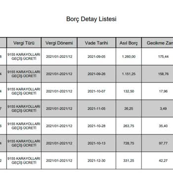Karayolları Genel Müdürlüğü Hatalı OGS Borcu Yüzünden Trafiğe Çıkamıyorum!