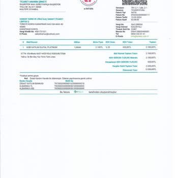 Uyumsoft Bilgi Sistemleri E Fatura Sistemde Görünmeme