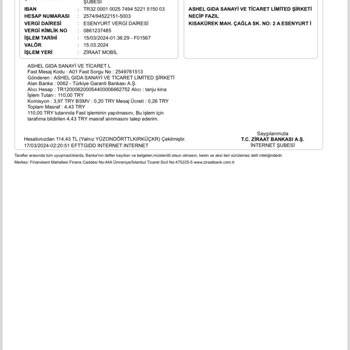 Ticari Taksi BiTaksi İstanbul Esenyurt