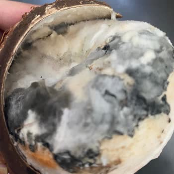 Hakmar Gıda Küflü Ürün Sattılar