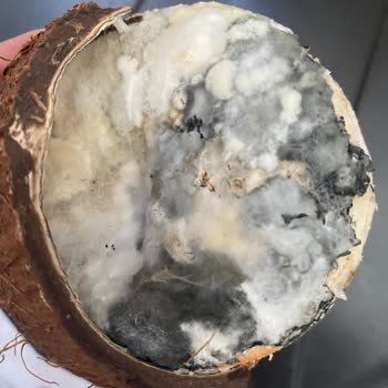 Hakmar Gıda Küflü Ürün Sattılar