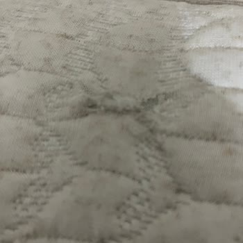 Antalya Kepez Teomanpaşa Bellona'ya Yazıklar Olsun