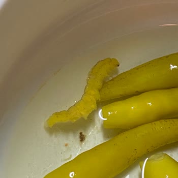 BİM Fıçı Marka Turşuda Tırtıl Çıktı