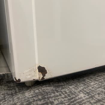 Ariston Hotpoint Buzdolabı Kapağı Pas Tuttu