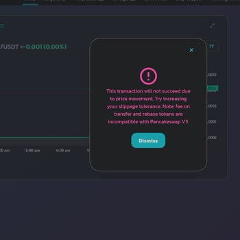 PancakeSwap Sahte Coin
