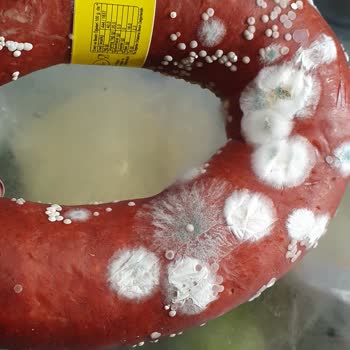 Şahin Sucuk Buzdolabında Küflendi