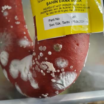 Şahin Sucuk Buzdolabında Küflendi