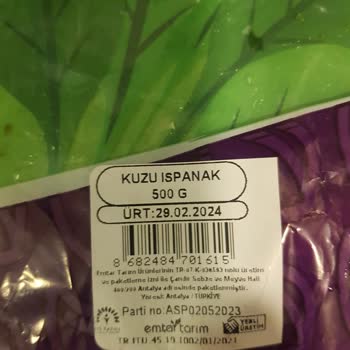 File Market Yabani Otları Ayıklanmamış Ispanak