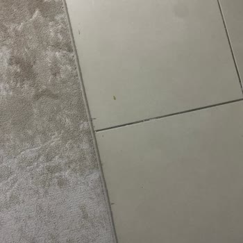 PHILIPS Ev Aletleri Philips 3000 Serisi Robot Süpürge