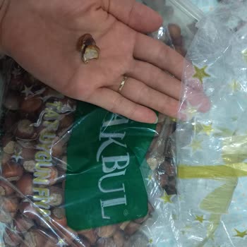 Makbulden Aldığım Fındıkların İçi Küflü Çıktı!