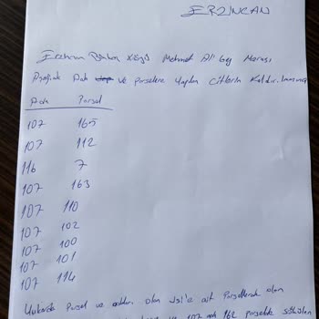 DSİ (Devlet Su İşleri) Erzincan'da DSİ Çitleri Ve İşlem Yapılmaması Şikayeti