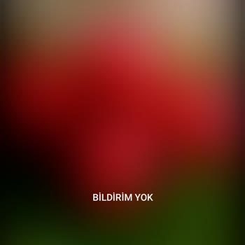 Reeder İnternet Çekim Gücü 3G