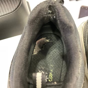 Boyner'den Aldığım Sketchers'ın Başkası Tarafından Kullanılması