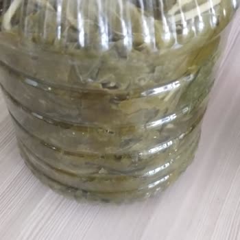 Gelin Görümce Yöresel Ürünler Yaprak Sarma Hayal Kırıklığı Ve İletişim Sorunları