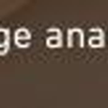 Riot Games Küfür Ve Hakaret