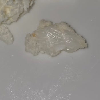 Torku Beyaz Peynirde Tehlikeli Sürpriz: Plastik Parça!