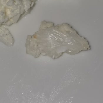 Torku Beyaz Peynirde Tehlikeli Sürpriz: Plastik Parça!