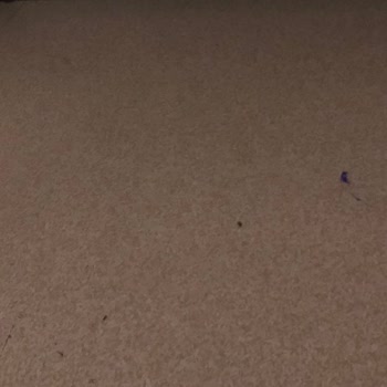 Sağlık Bakanlığı Hastanenin Sorumsuzluğu Ve Hijyensizliği