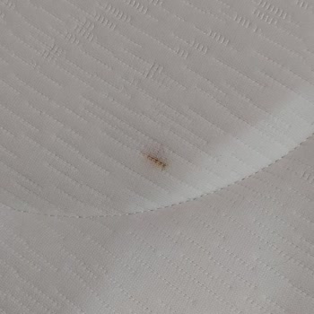 Belekler Bellona Keçiören İlgisizliği