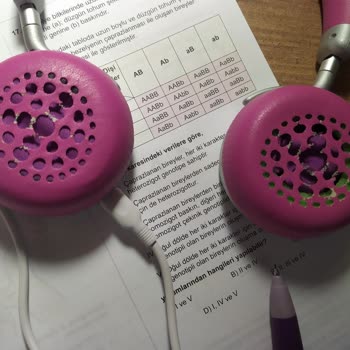 Vestel Kulaklığın Ped Temin Sorunu