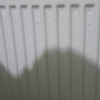 ECA Çözüm Bekliyorum Lütfen