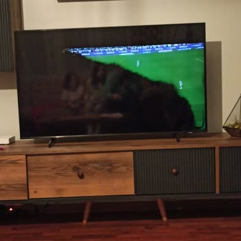 Samsung Samsun TV 2.5 Yılda Arıza