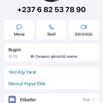 WhatsApp Business +237 Kodu İle Görüntülü Arama