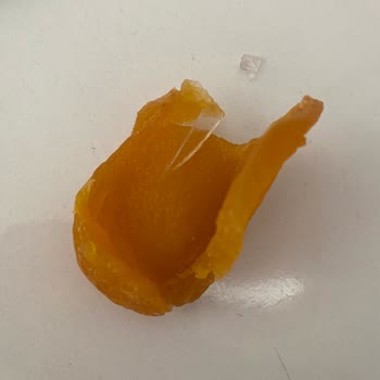 Peyman Kuru Kayısının İçinden Cam Çıktı