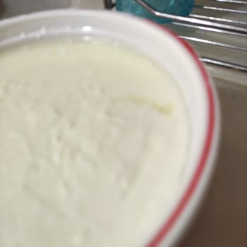 Eker Yoğurt İçinden Çıkan Kıl