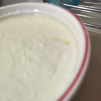 Eker Yoğurt İçinden Çıkan Kıl