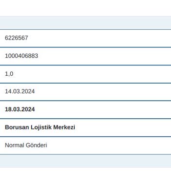 Borusan Lojistik Uyuşmayan Tahmini Teslim Tarihleri
