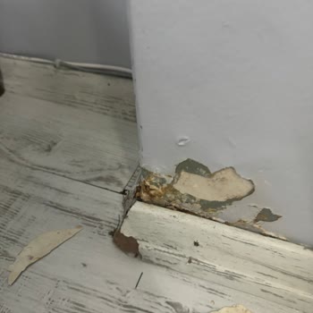 İBB - İstanbul Büyükşehir Belediyesi Merhabalar İstanbul Büyükşehir Şehir Belediyesine