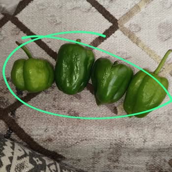 Şok Marketler Çürük Ve Bozuk Ürün Gönderdiler
