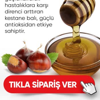 Artvin Borçka Kestane Balı/Hit Lojistik ve Kargo Hizmetleri