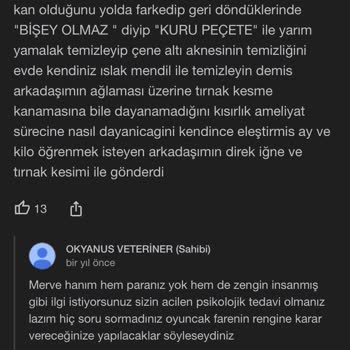 Okyanus Veteriner Kliniği Başka Canlar Yanmasın