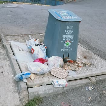 Pendik Belediyesi Toplanmayan Çöpler Ve