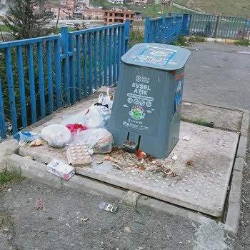Pendik Belediyesi Toplanmayan Çöpler Ve