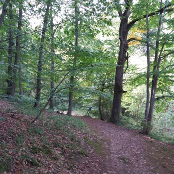 Vodafone Haksız Fatura Talebi Bilgi Verilmeden Taahhüt Bozuldu Diye.