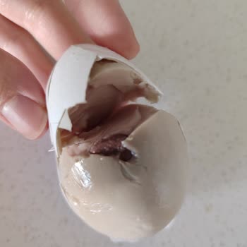 Şişman Yumurta Şişman Marka Yumurta