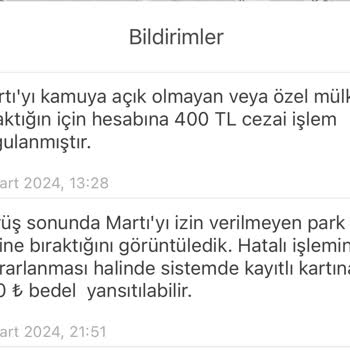 Martı Ceza Kesmek İçin Yer Arıyor