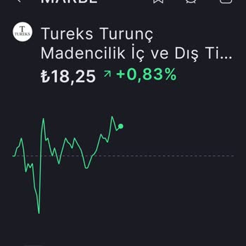 Marbl Tureks Hisselerindeki Düşüş Ve SPK'nın Sessizliği