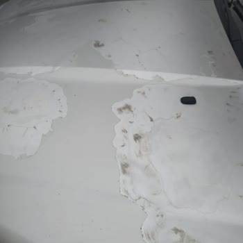 Ford Akoto Balıkesir Yetkili Servisi Skandalı