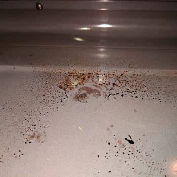 Vestel Af-9786 B 73 Litre A Enerji Sınıfı