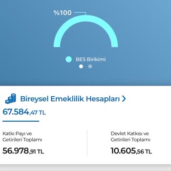 Anadolu Hayat Emeklilik Ayıp Olmasında Diye Verilen Devlet Katkı Payı?