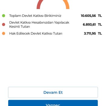 Anadolu Hayat Emeklilik Ayıp Olmasında Diye Verilen Devlet Katkı Payı?