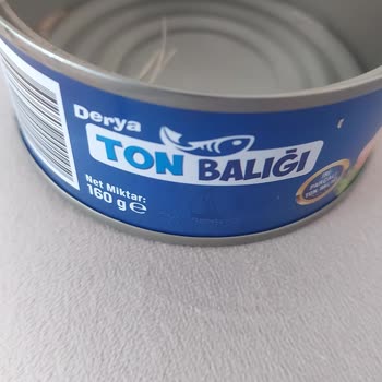 Derya Ton Balığı Çıkan Kılçıklar