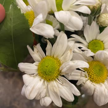 Çiçek Sepeti En Kötü Doğum Günü Hediyesi