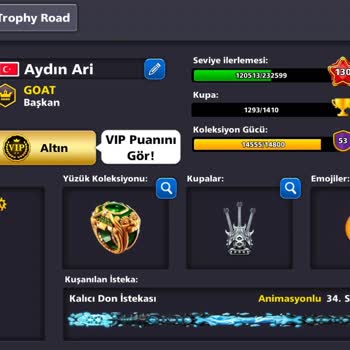 8 Ball Pool Oyun Kazançlarım Silindi: Acil Destek Gerekiyor